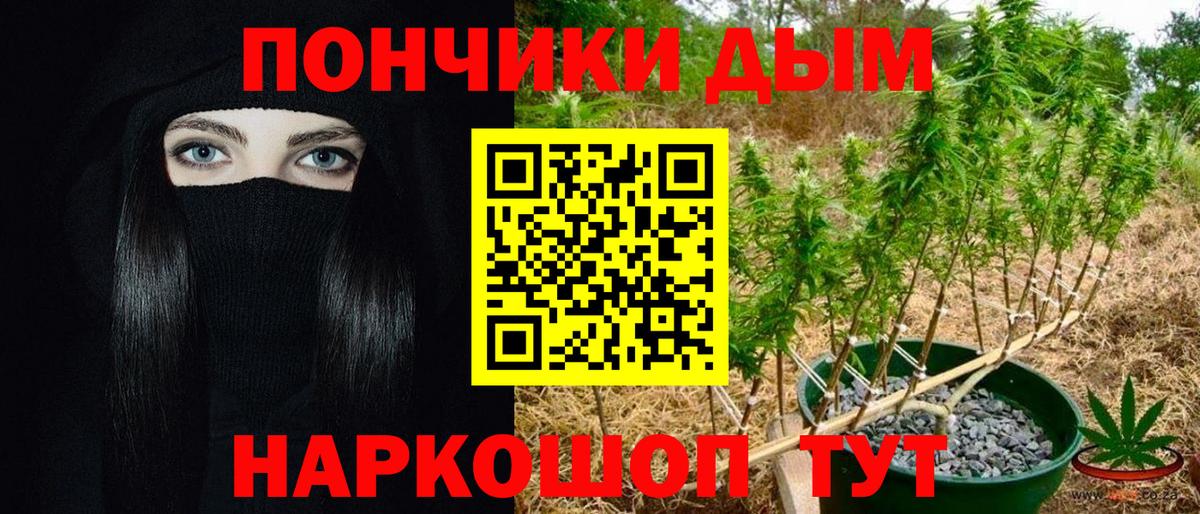 Конопля Ganja  Марихуана планчик  Вход с VPN  Бошки марихуана ГИДРОПОН  Уссурийск  Канабис план 